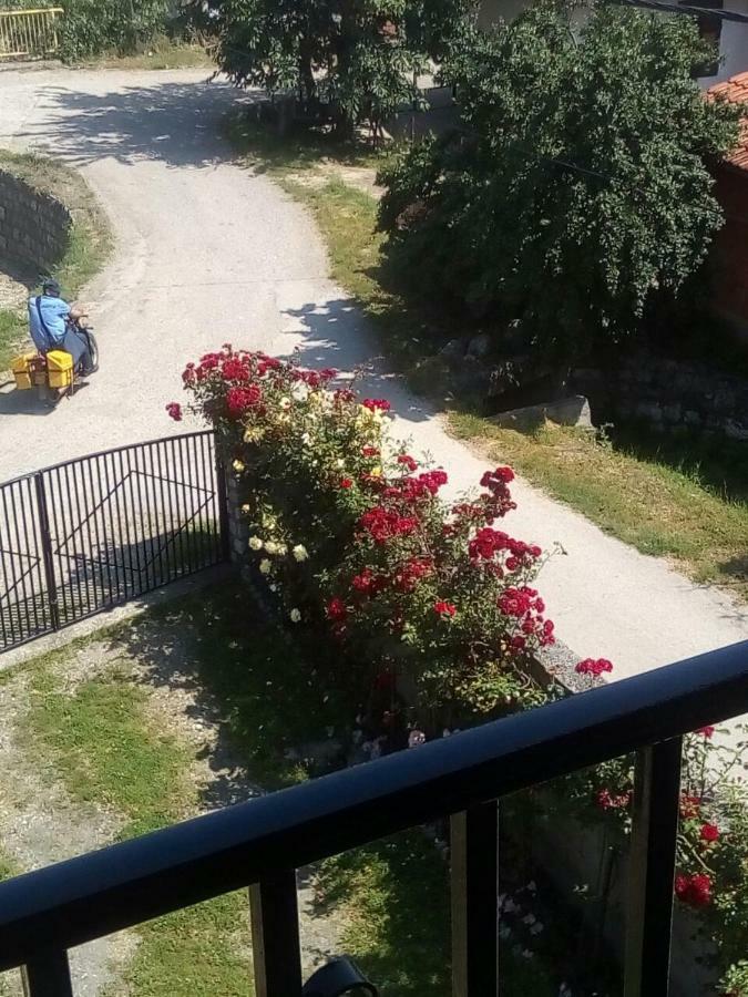 Hotel Sobe Seka Golubac Esterno foto