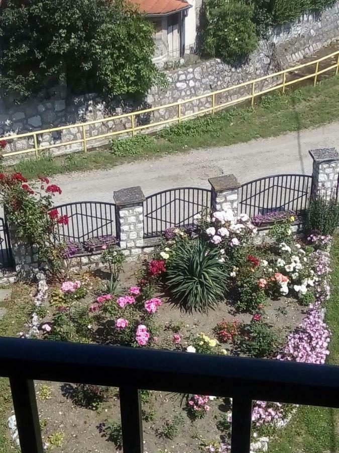 Hotel Sobe Seka Golubac Esterno foto